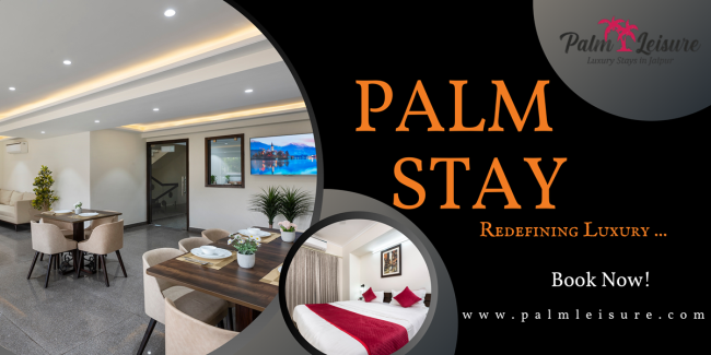 Palm Stay Banner Blogs