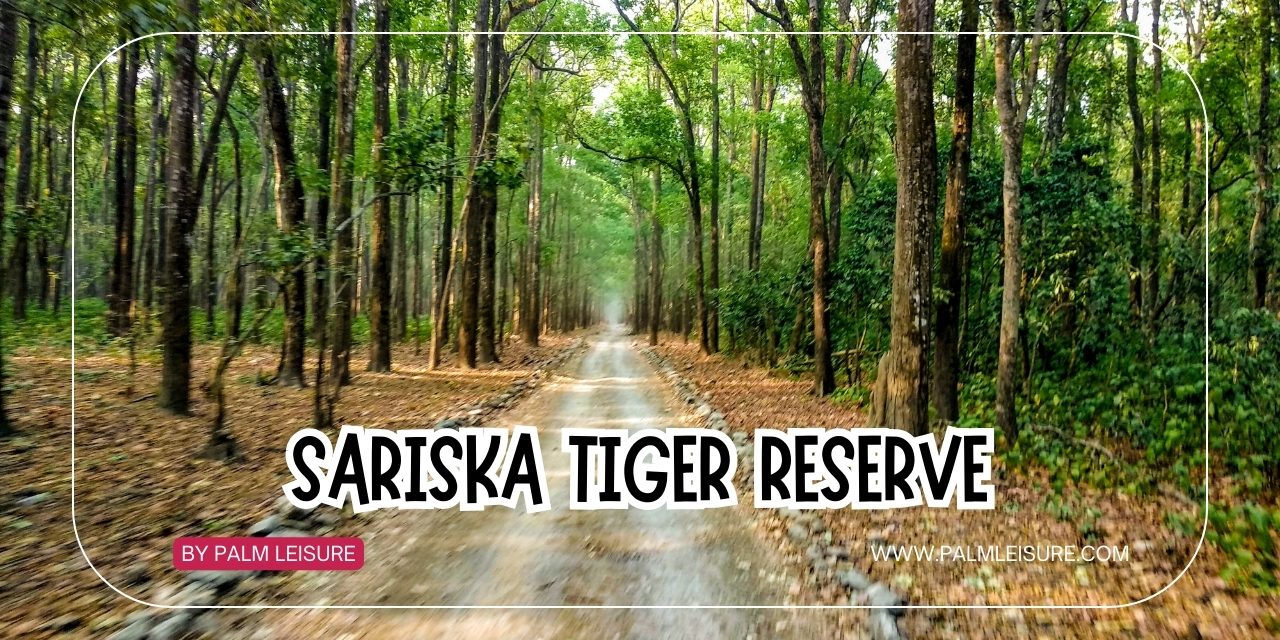 sariska tiger reserve