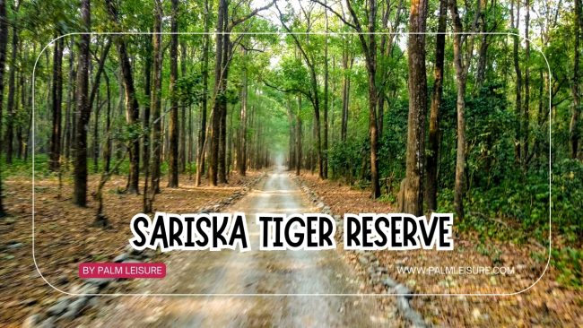 sariska tiger reserve