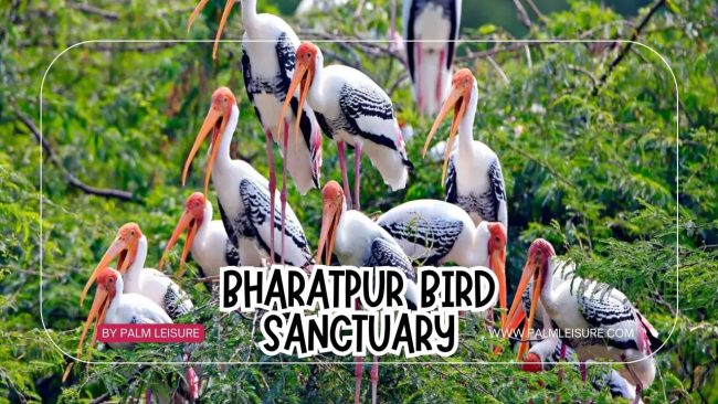 Brown Modern Room Tour Vlog YouTube Thumbnail